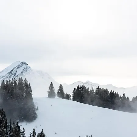 Chalet-hotel Beau-site 4*