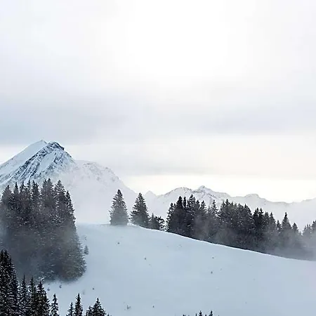 Chalet-hotel Beau-site 4* Adelboden
