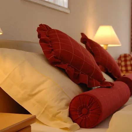 酒店 Chalet-hotel Beau-site 阿德尔博登