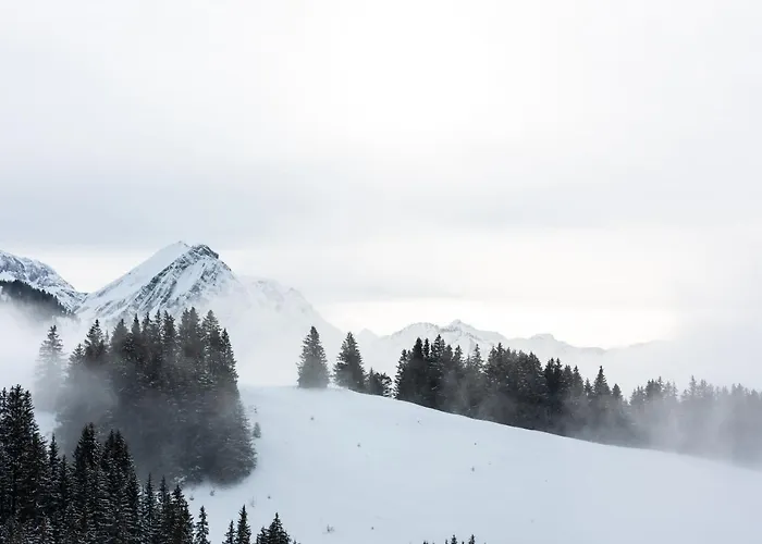 Chalet-hotel Beau-site 4*