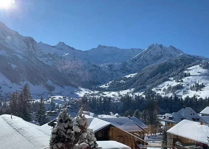 Chalet-hotel Beau-site מלון