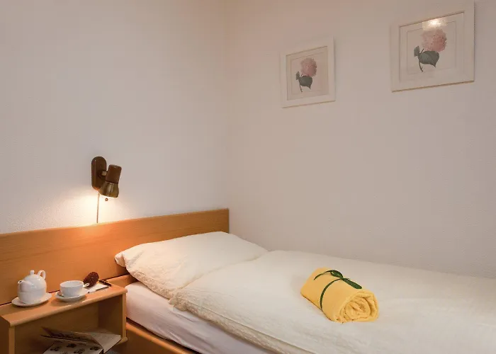 Chalet-hotel Beau-site מלון אדלבודן