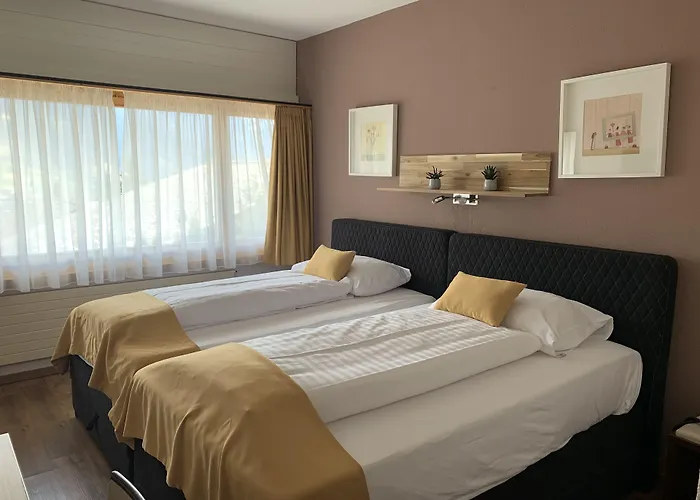 Chalet-hotel Beau-site מלון