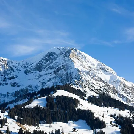 Hotel Chalet-hotel Beau-site Adelboden