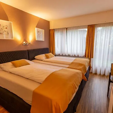 Chalet-hotel Beau-site 4* אדלבודן