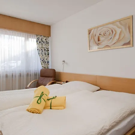 Chalet-hotel Beau-site מלון אדלבודן